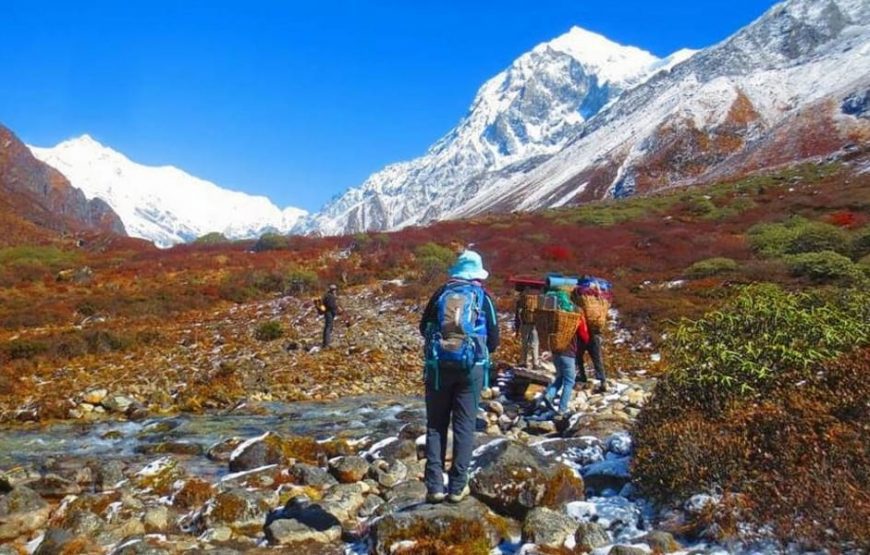 Dzongri Trek  Sikkim