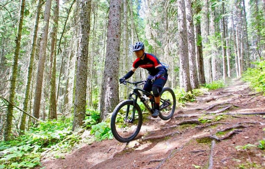 Downhill Cycling In Manali
