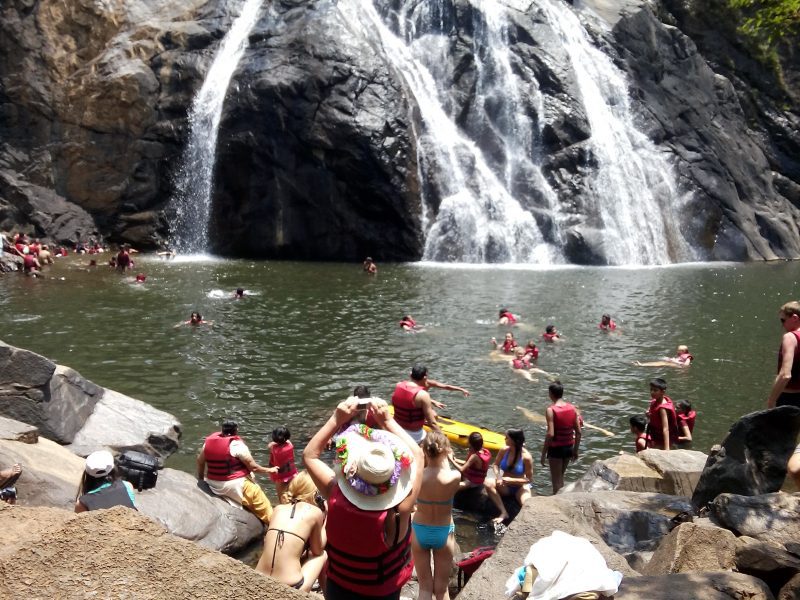 Trek to Dudhsagar Waterfalls